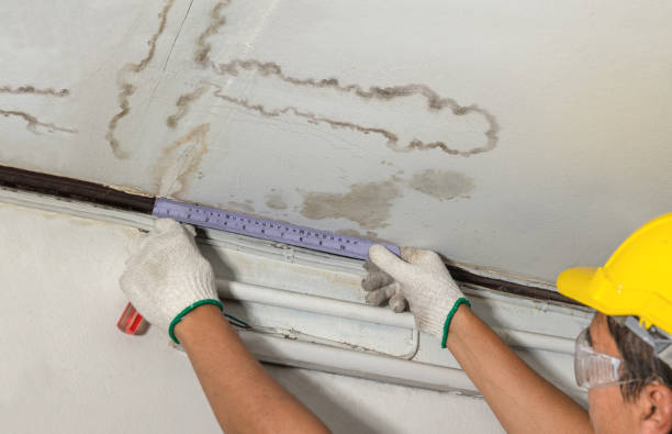 Reliable Mold Remediation contractor in Campbell, OH by Local Water Damage Repair